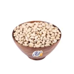 سویا آجیلی