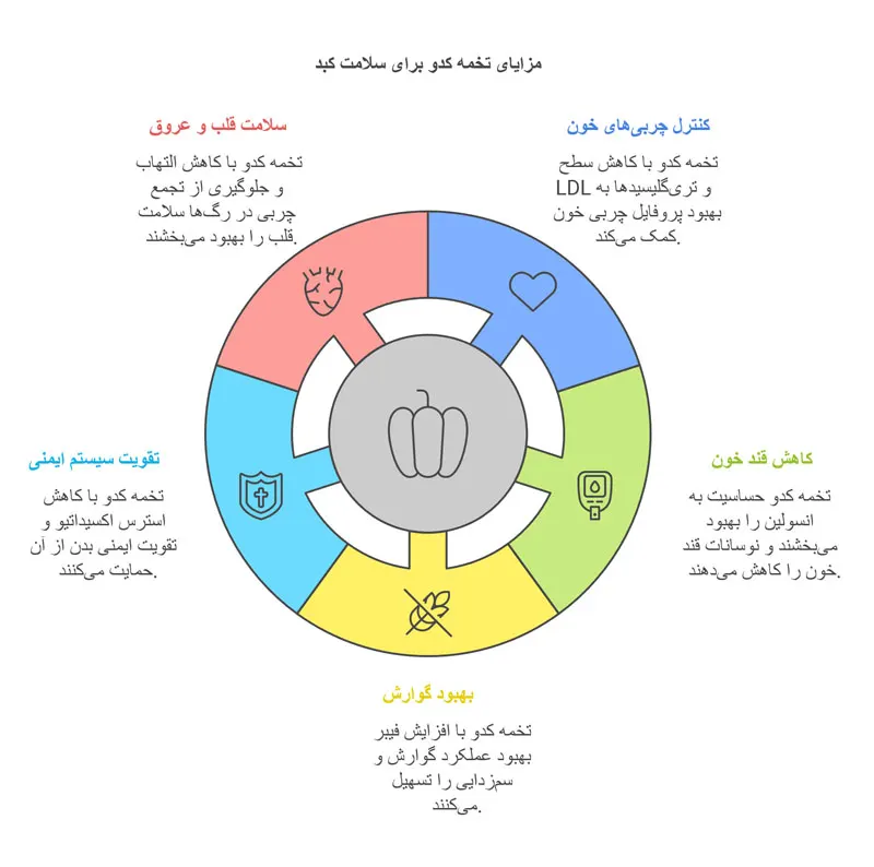 فواید تخمه کدو برای کبد چرب